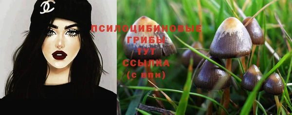 синтетический гашиш Алексин