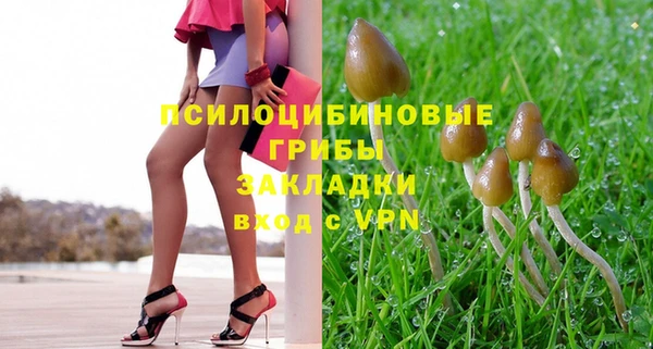 круглые Алексеевка