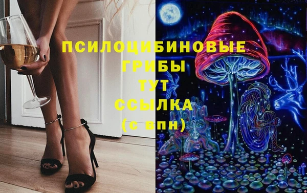 синтетический гашиш Алексин